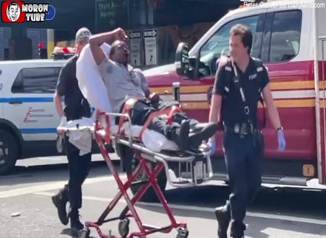Video :He breaks the jaw of a man who abuses his dog by stopping him